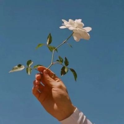 不太行的大学生模拟器